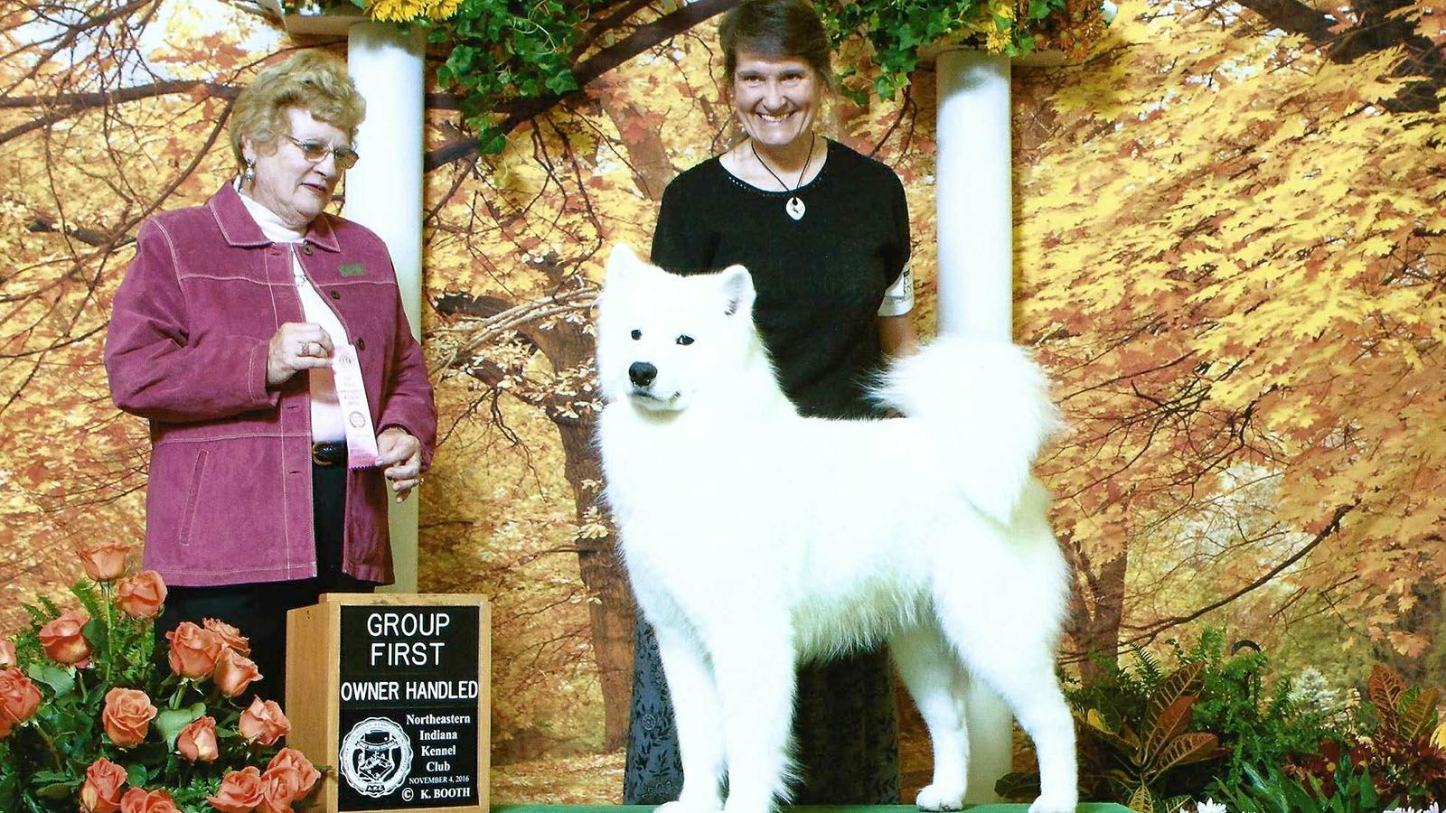 The Old Fort Cluster Dog Show runs Nov. 3-6 at Memorial Coliseum.