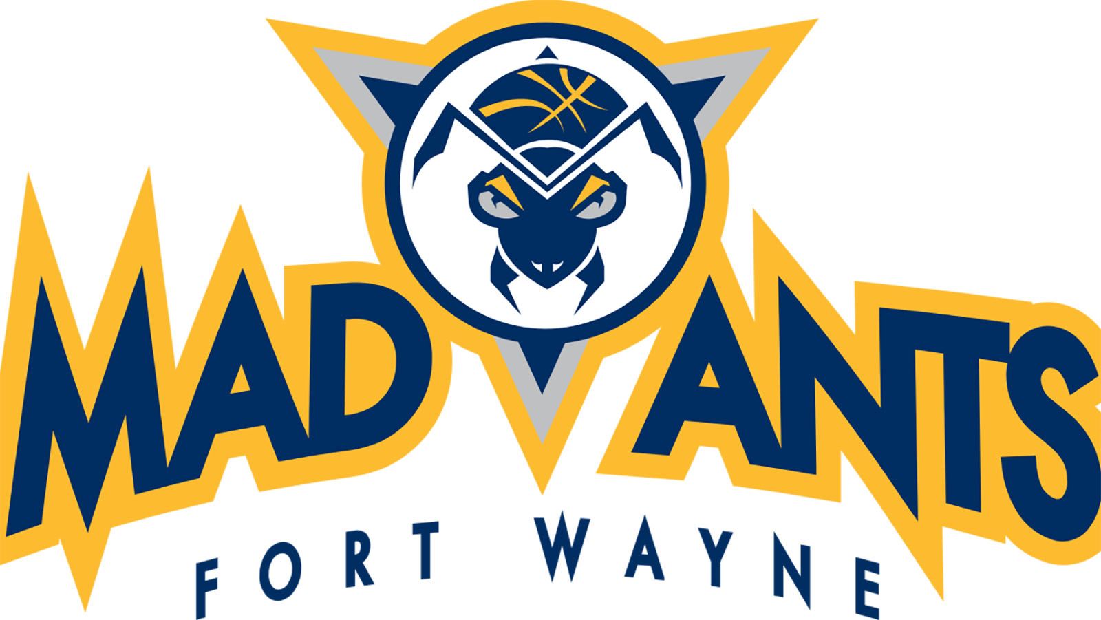 The Fort Wayne Mad Ants will be moving to Noblesville.
