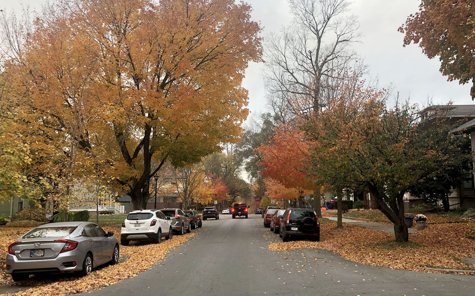 The West Central Neighborhood is picturesque this time of year.