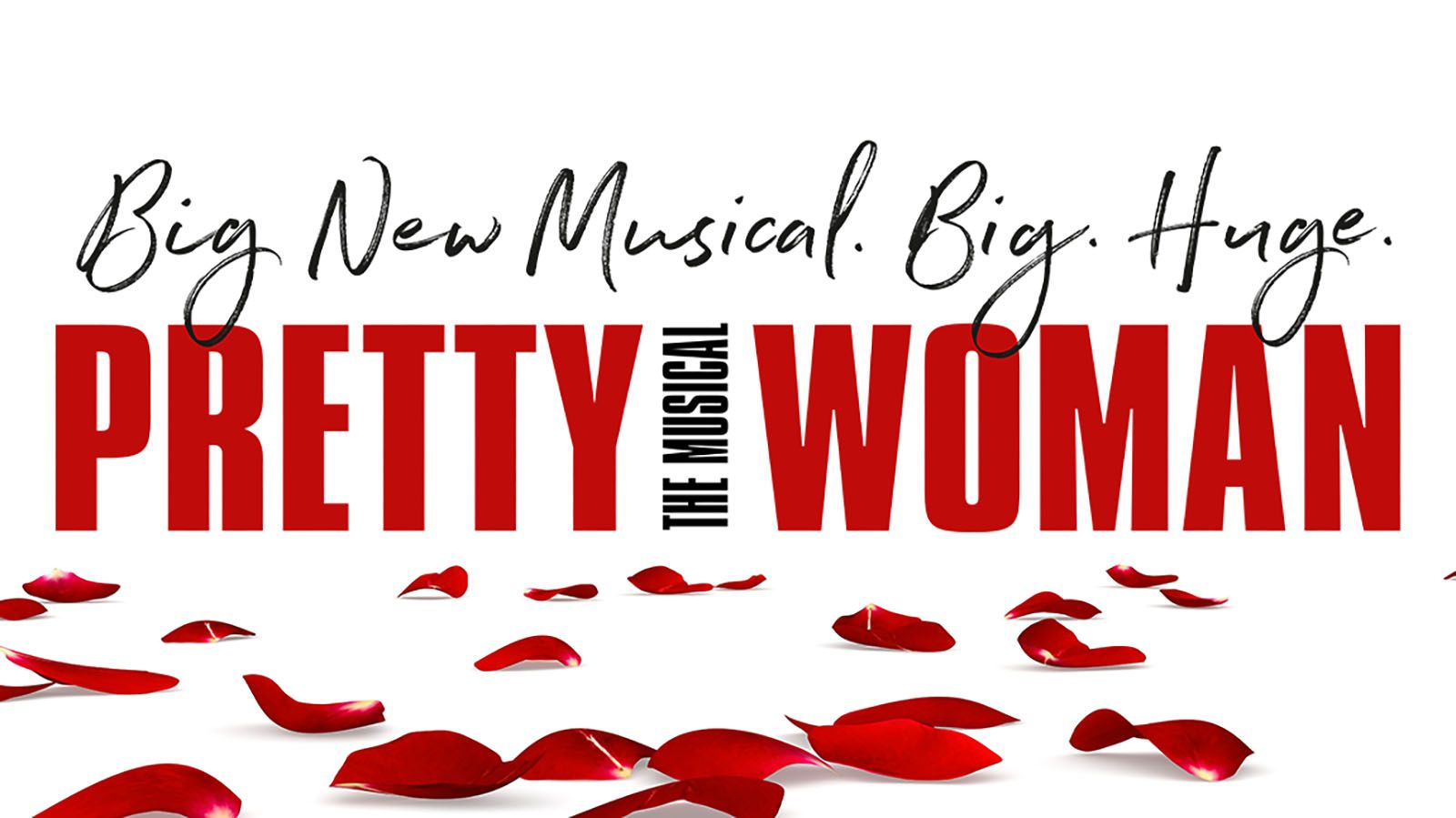Pretty Woman: The Musical will be at Embassy Theatre on April 13.