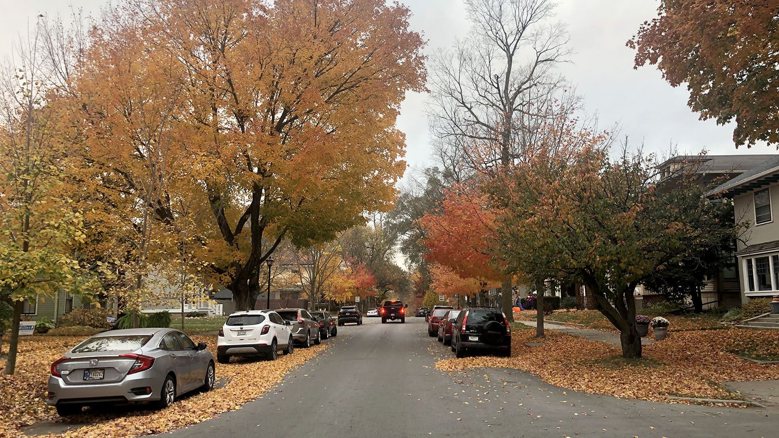 The West Central Neighborhood is picturesque this time of year.