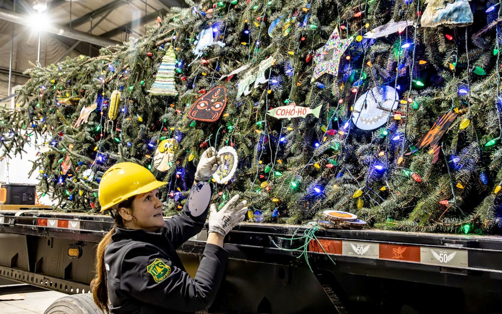 The U.S. Capitol Christmas Tree will stop at Parkview Field on Saturday, Nov. 16.