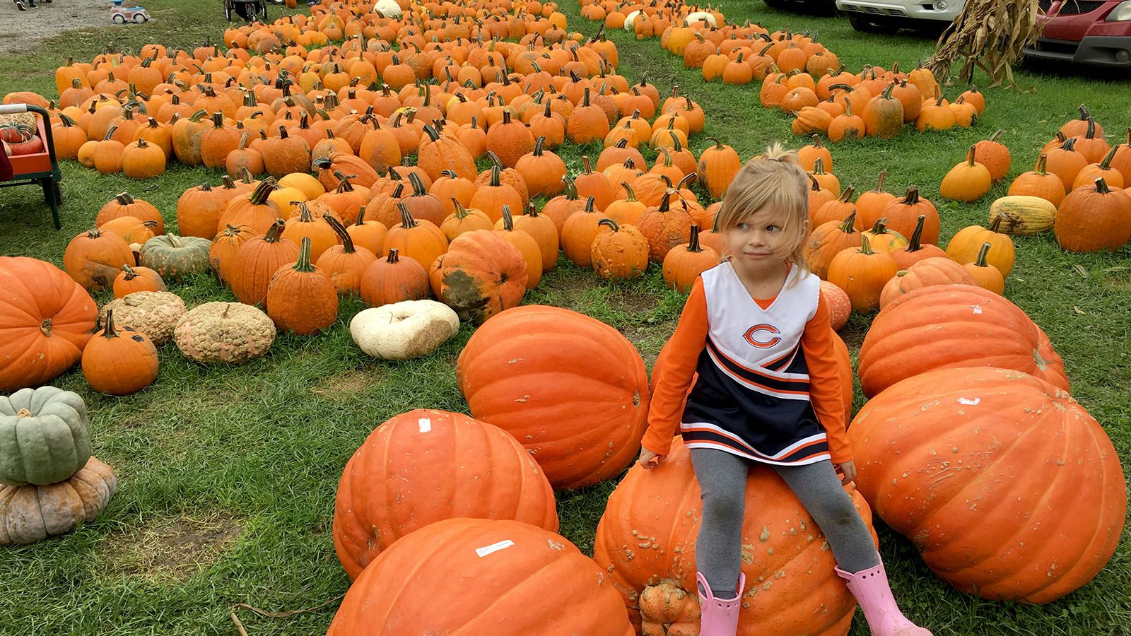 There are no shortage of pumpkin patches during Indiana fall seasons.