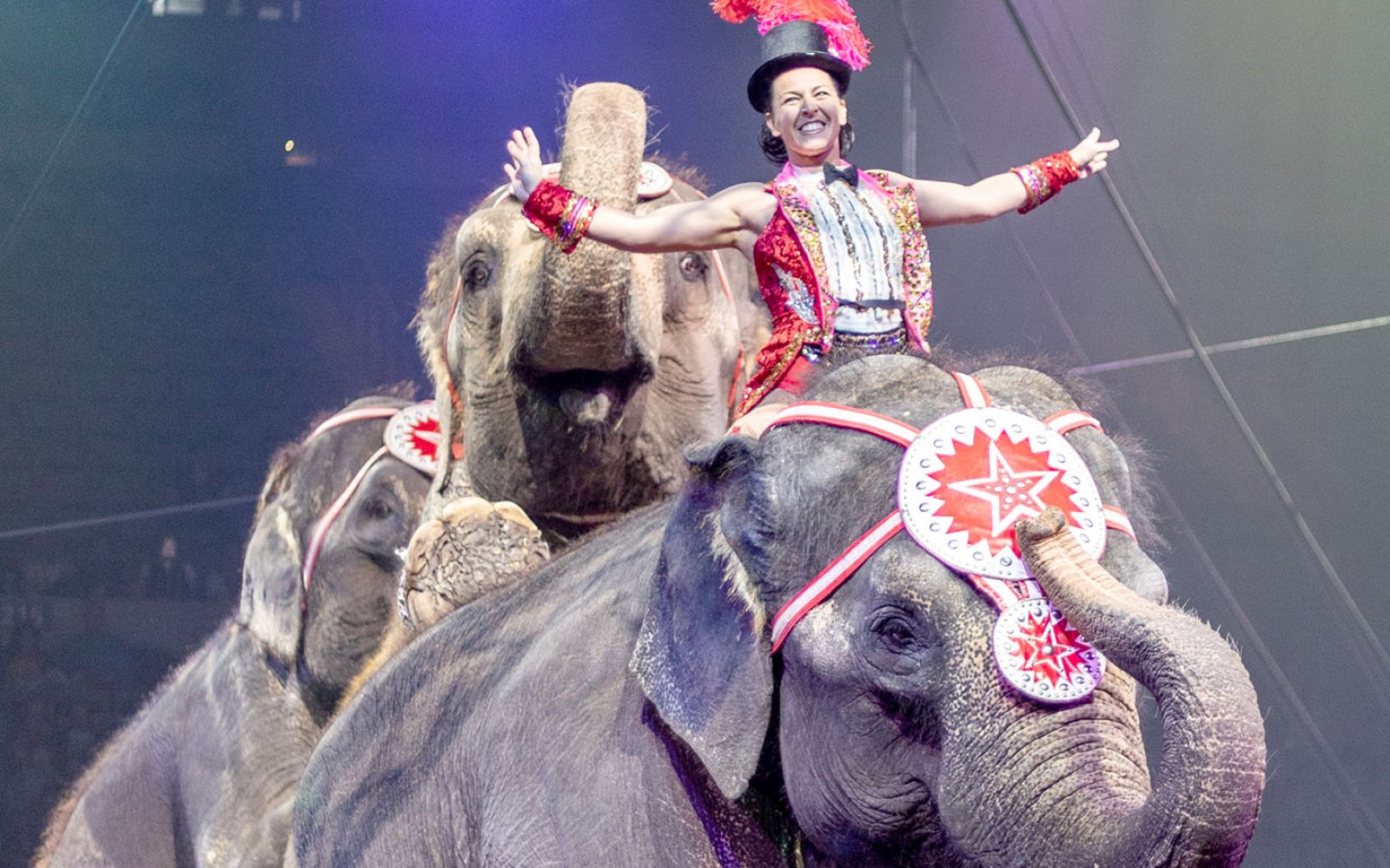 The Mizpah Shrine Circus returns to Memorial Coliseum from Jan. 24-26.