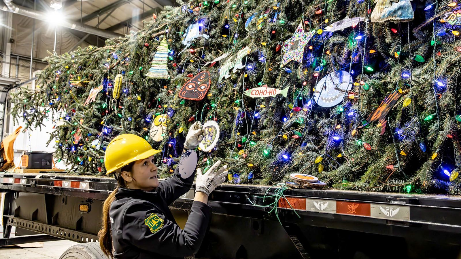 The U.S. Capitol Christmas Tree will stop at Parkview Field on Saturday, Nov. 16.